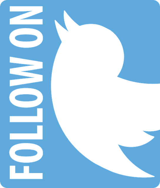 Twitter Followers: Plans and Packages at Influmos